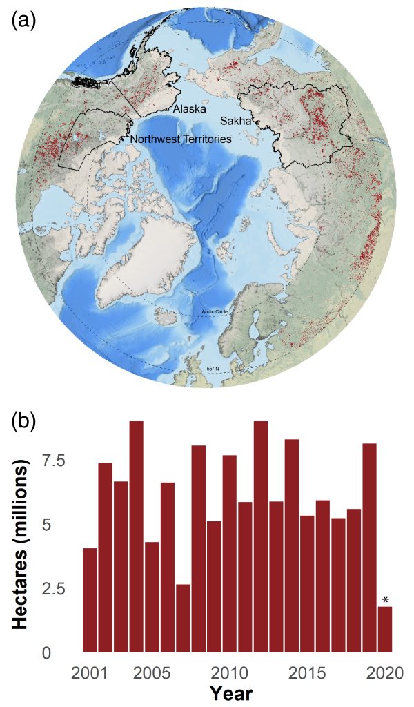 Fig. 1. Geographic extent (a) and time series (b) of annual cumulative end-of-season burned area in circumpolar high northern latitudes from 55° N to 70° N for 2001-June 2020