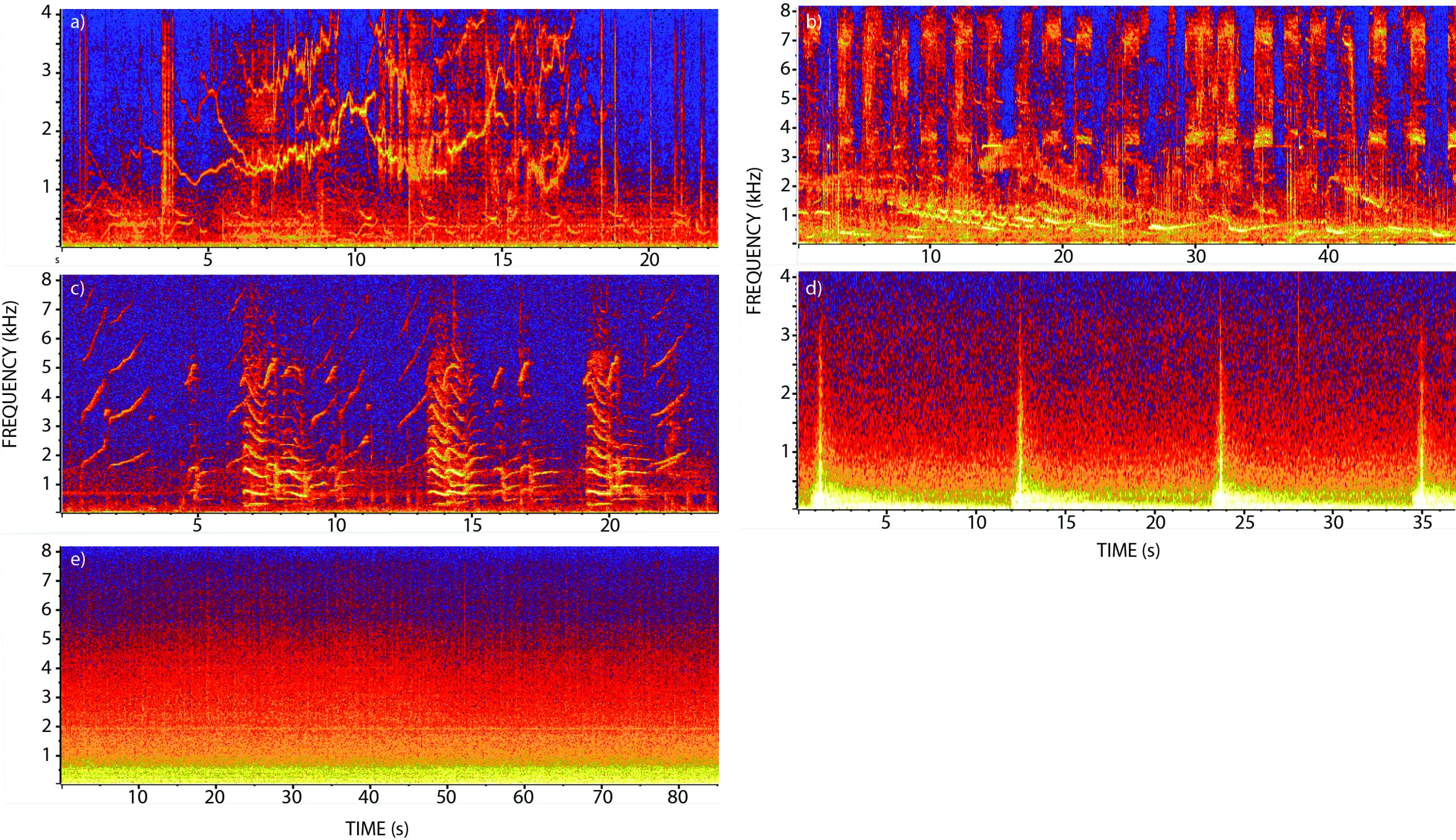 Frontiers  From Soundwave to Soundscape: A Guide to Acoustic