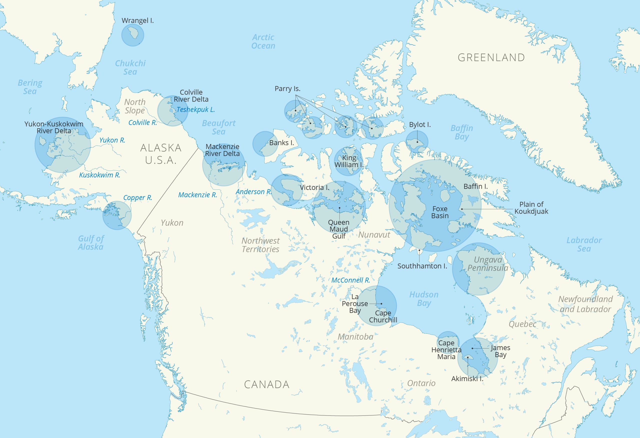 Western Hudson Bay – Where We Work – Oceans North