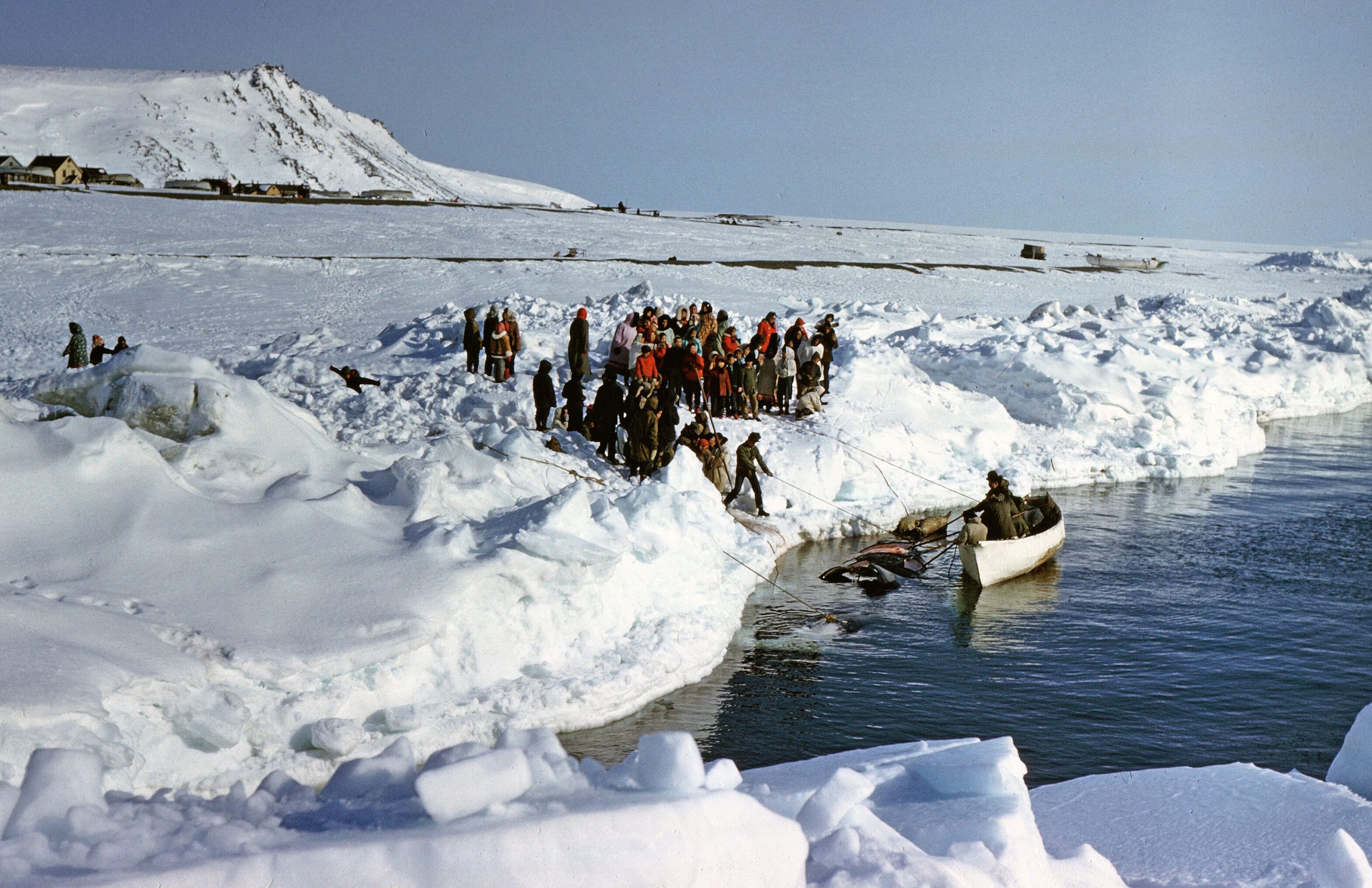 Consequences of Rapid Environmental Arctic Change for People