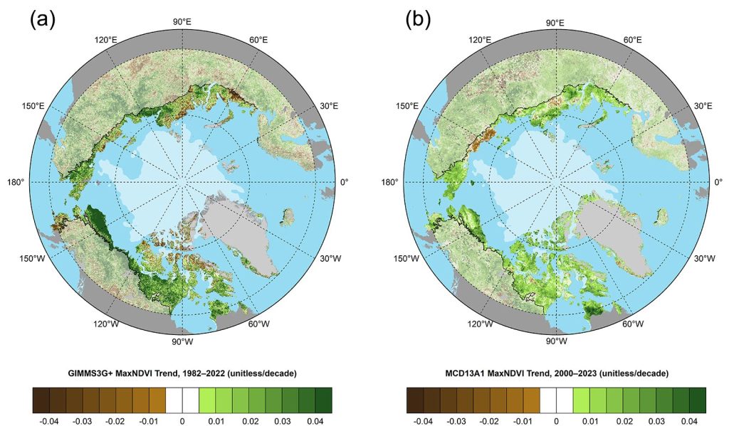 Arctic maps showing magnitude of the MaxNDVI trend calculated as the change per decade and boreal forest north of 60° latitude from 1982-2022 and 2000-2023
