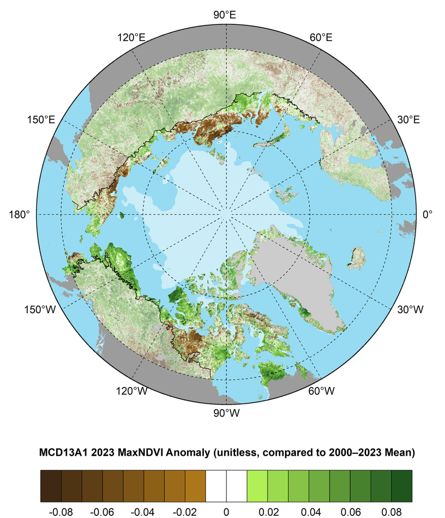 Arctic map of circumpolar MaxNDVI anomalies for Arctic tundra and boreal forest north of 60° latitude for the 2023 growing season relative to mean values