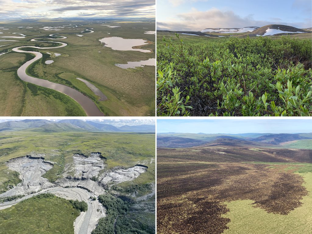 Four photographs of Arctic vegetation and waterbodies: Seward, Alaska; shrubs Mulgrave Hills, Alaska; permafrost thaw, Noatak National Preserve, Alaska; tundra wildfire, Kanuti River drainage, Alaska