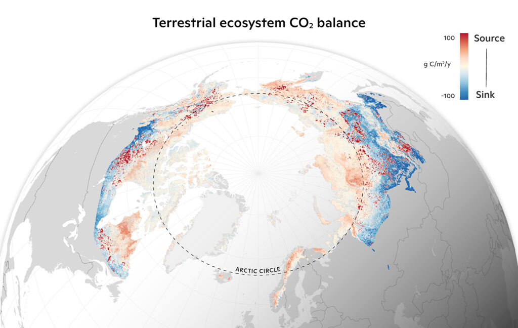 Arctic map showing terrestrial ecosystem CO2 fluxes with direct fire emissions for the northern permafrost region, with CO2 sources and sinks