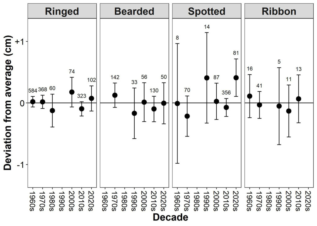 Graphs of blubber thickness by decade of ringed, bearded, spotted, and ribbon seals, shown as deviations from the average