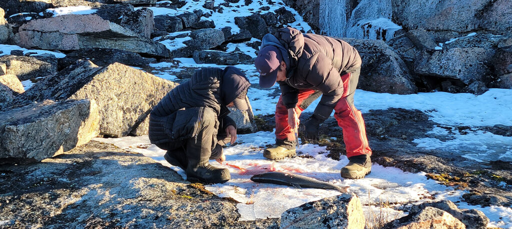 Two men looking at dead fish on snowy rocks