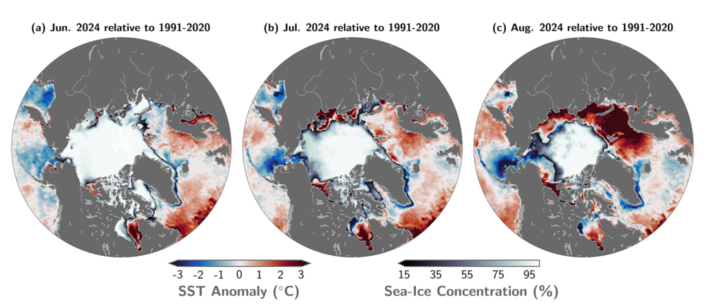 Arctic maps of sea-surface temperature anomalies for June 2024, July 2024, and August 2024 relative to the 1991-2020 mean