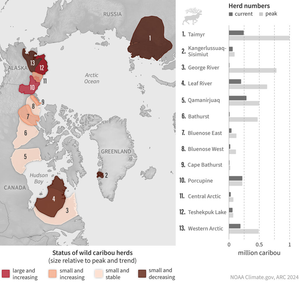 Arctic map of trends and herd size status among migratory tundra caribou herds